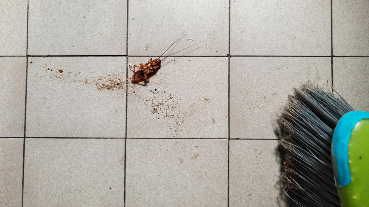 protectia consumatorilor targu mures gandaci mall