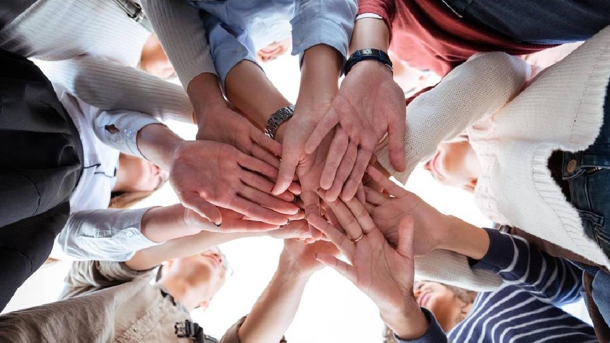 elevi cluj testati scanare palme orientare cariera dispozitiv inventat roman