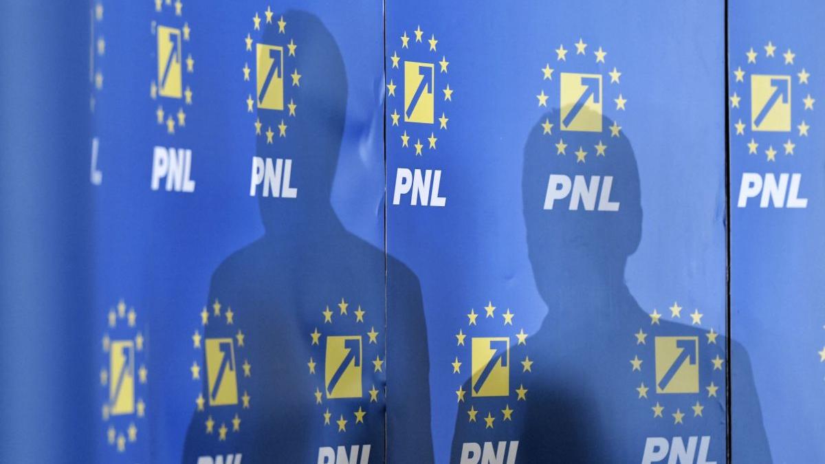 pnl pragul psihologic 20 alegeri europarlamentare iunie 2024