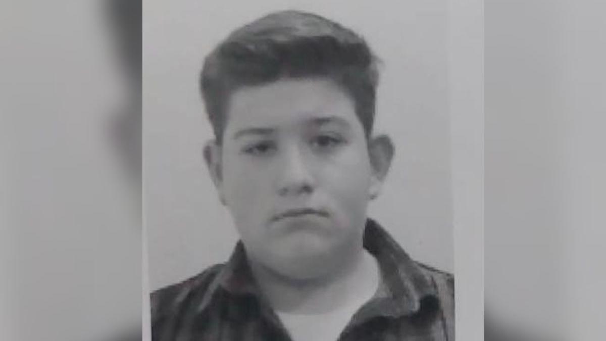 ladislav lukas slagen adolescent disparut timisoara