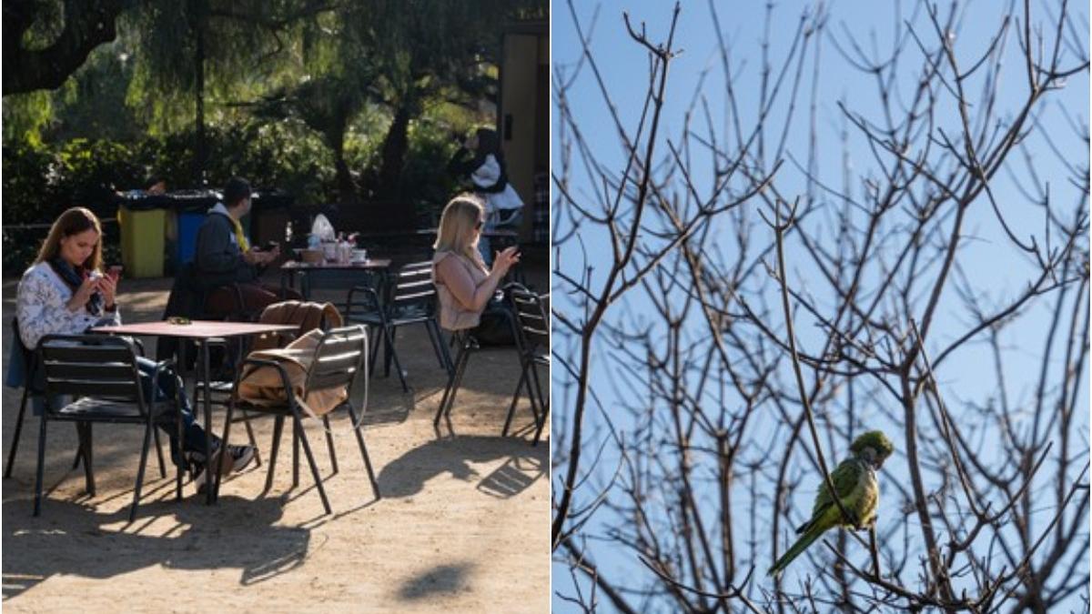 vara spania ianuarie temperaturi 30 grade oameni la plaja