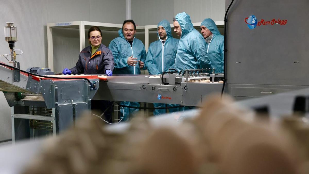 florin barbu ministrul agriculturii trei ferme avicole afaceri de succes romanesti