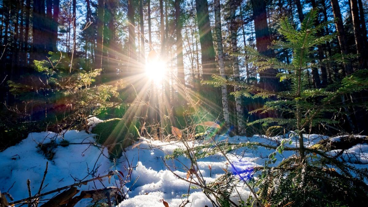 elena mateescu director anm anunta incalzire vreme