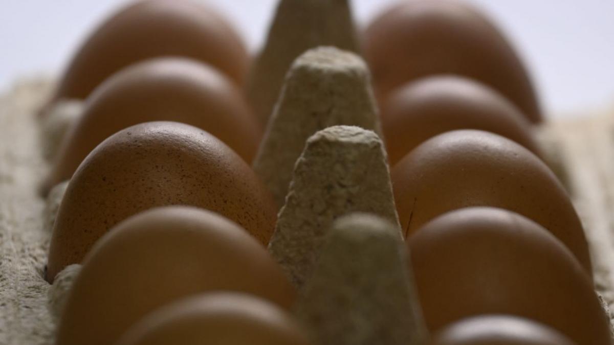 romania are oua ins categorii alimente producatori romani acopera cererea