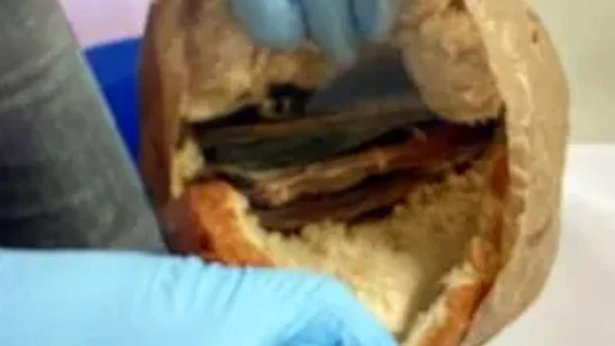 roman germania bani paine