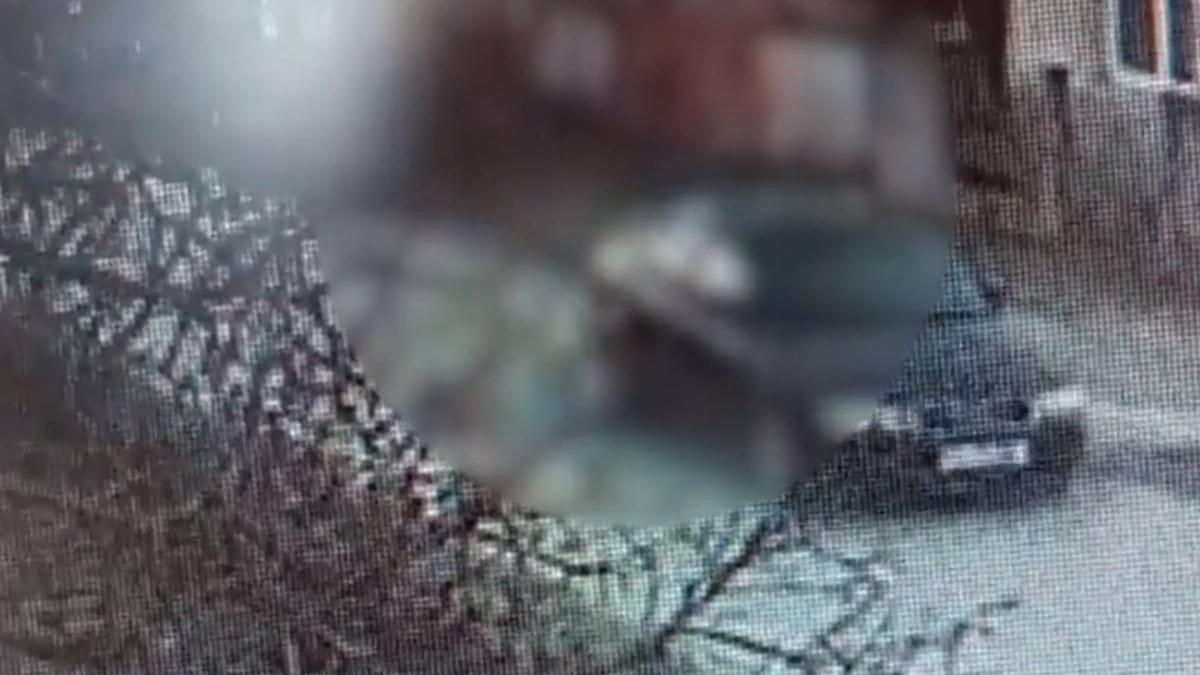 tata fiu loviti intentionat masina vecin bihor surduc