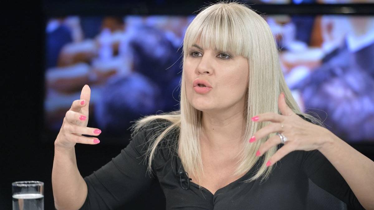 elena udrea executare silita fisc