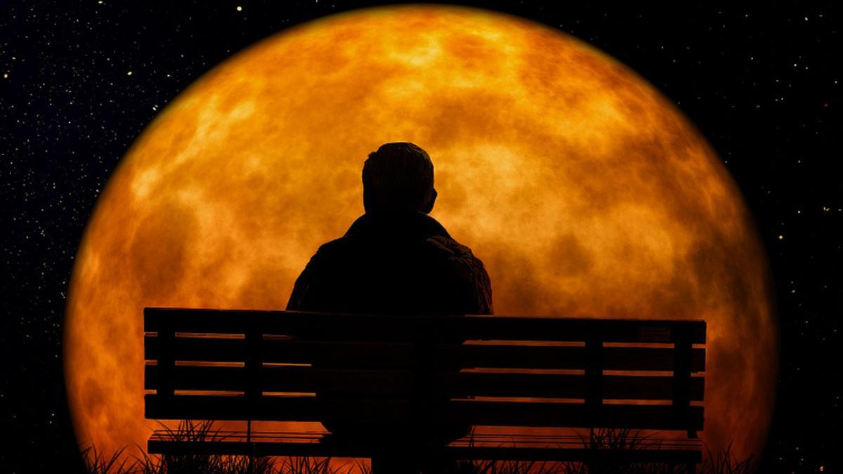 pret inmormantare luna bogati