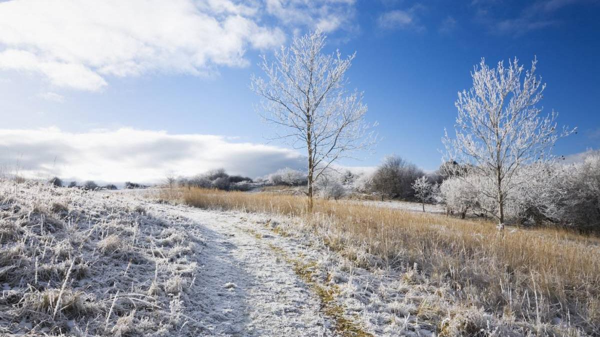 prognoza meteo weekend