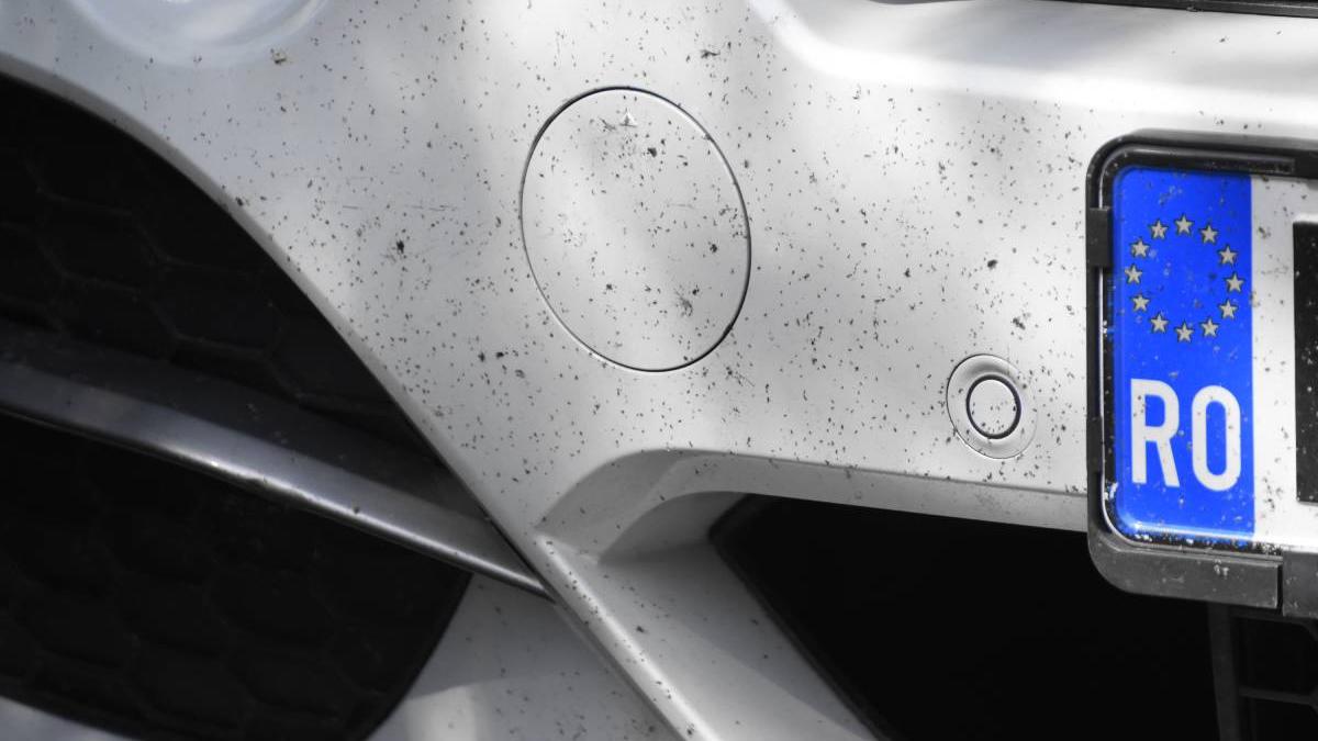 placute inmatriculare confiscate 2024 soferi recuperare