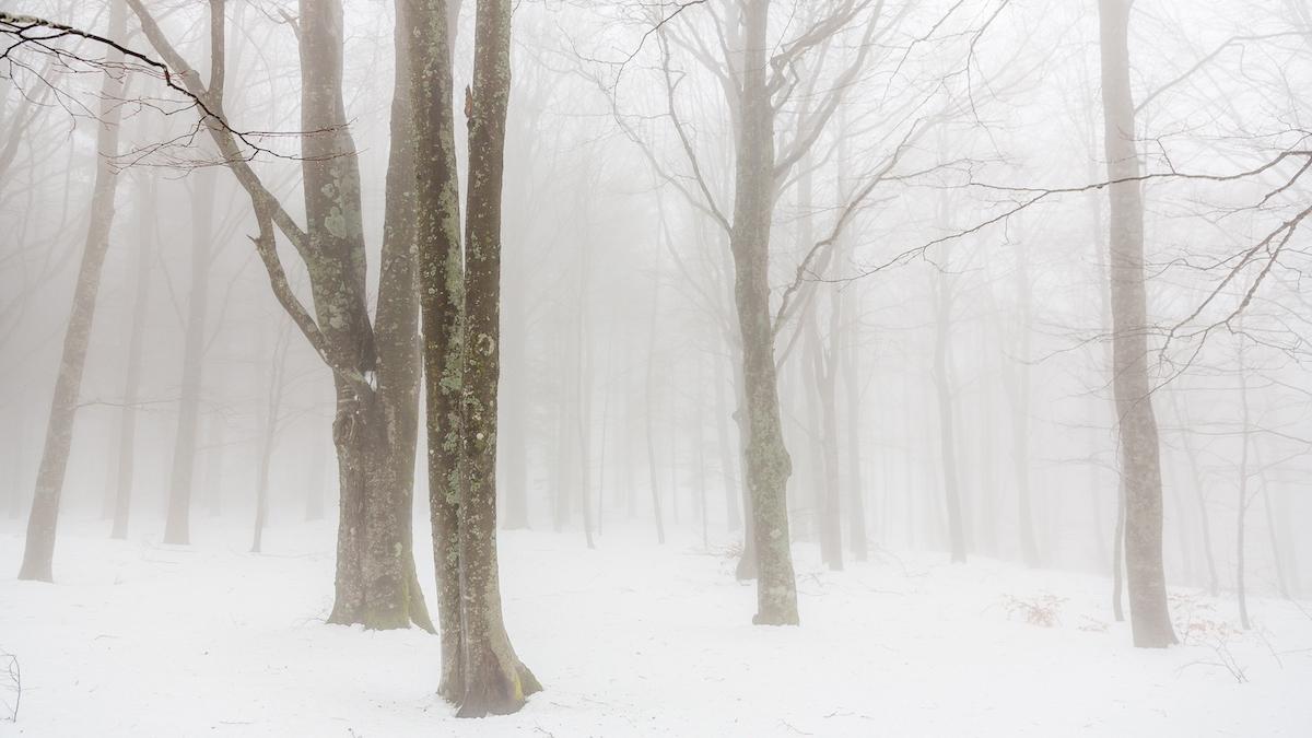 avertizare meteo anm cod portocaliu cod galben ninsori romania