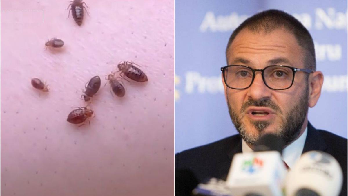 posibila infestare plosnite ikea bucuresti seful anpc mobila