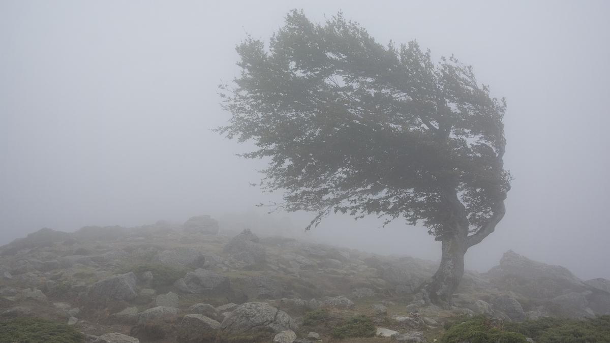 avertizare meteo anm cod galben vant puternic romania