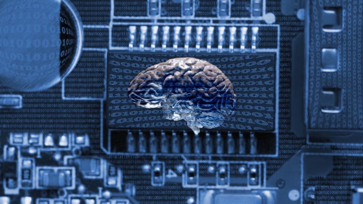 creier porc tinut viata cinci ore in afara corp animal