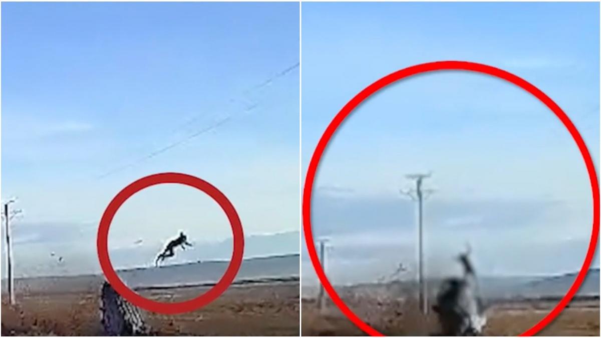 accident grav tanar 18 ani zboara geam