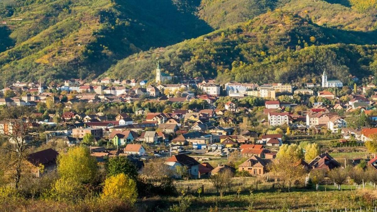 simleul silvaniei primar pnl proieste dezvoltare beneficiari ajutoare sociale