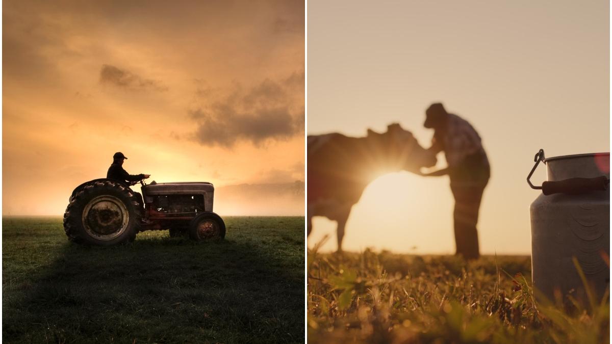 subventii apia 2024 bani fermieri ajutor national hectar animale