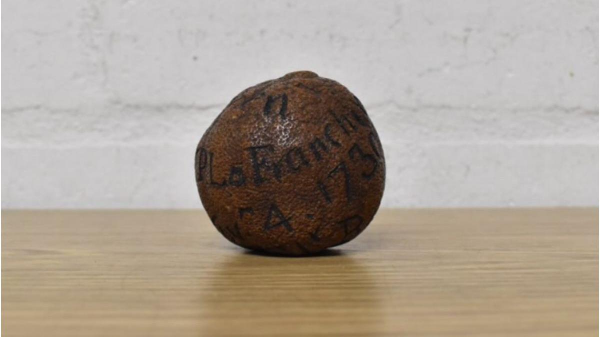 lamaie veche scoasa licitatie