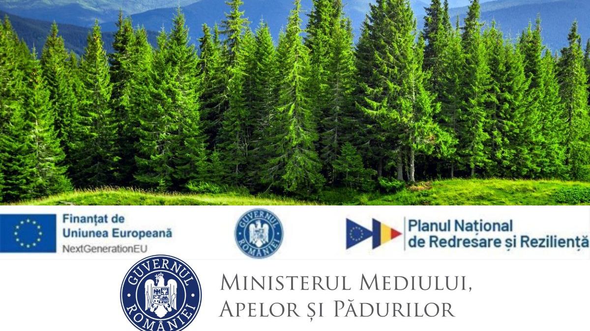 romania inteligenta proiect impadurire bani pnrr