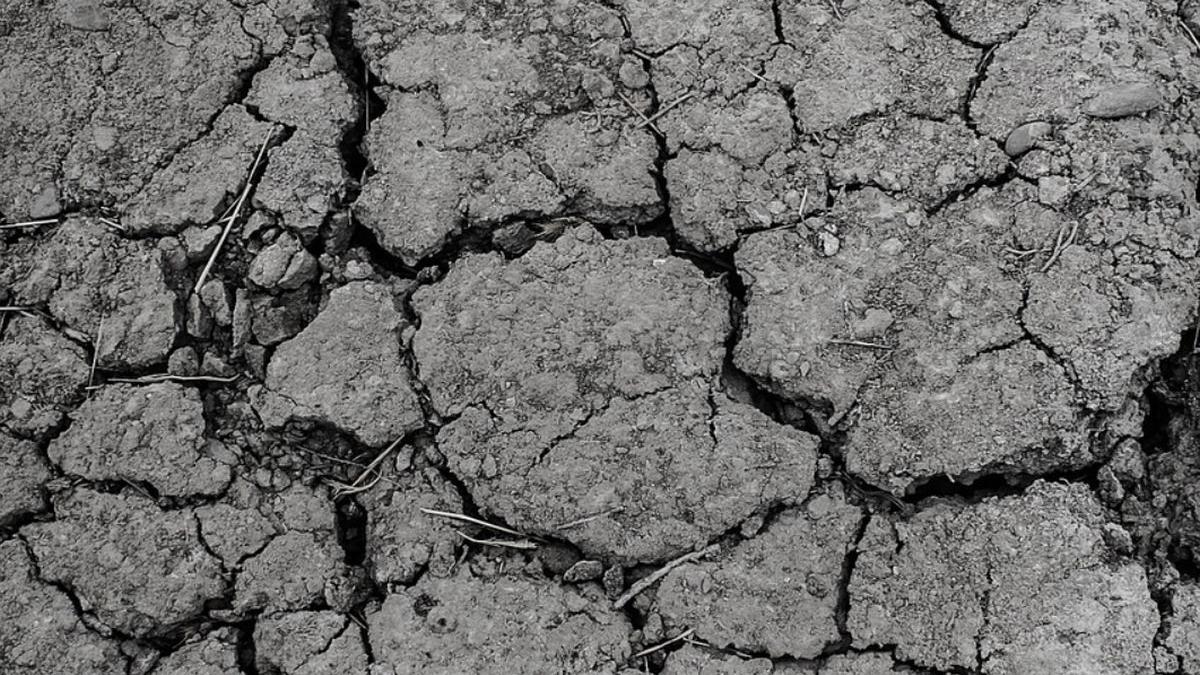 seceta fermieri romani culturi ploi