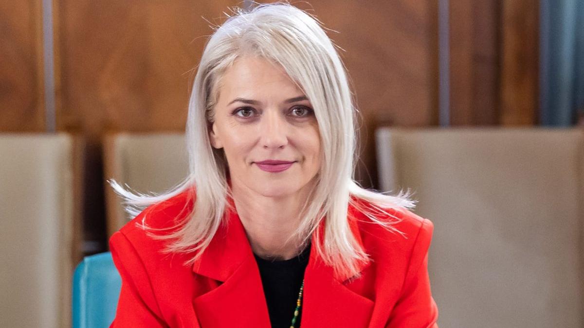 mesaj alina gorghiu ministra justitiei fugari