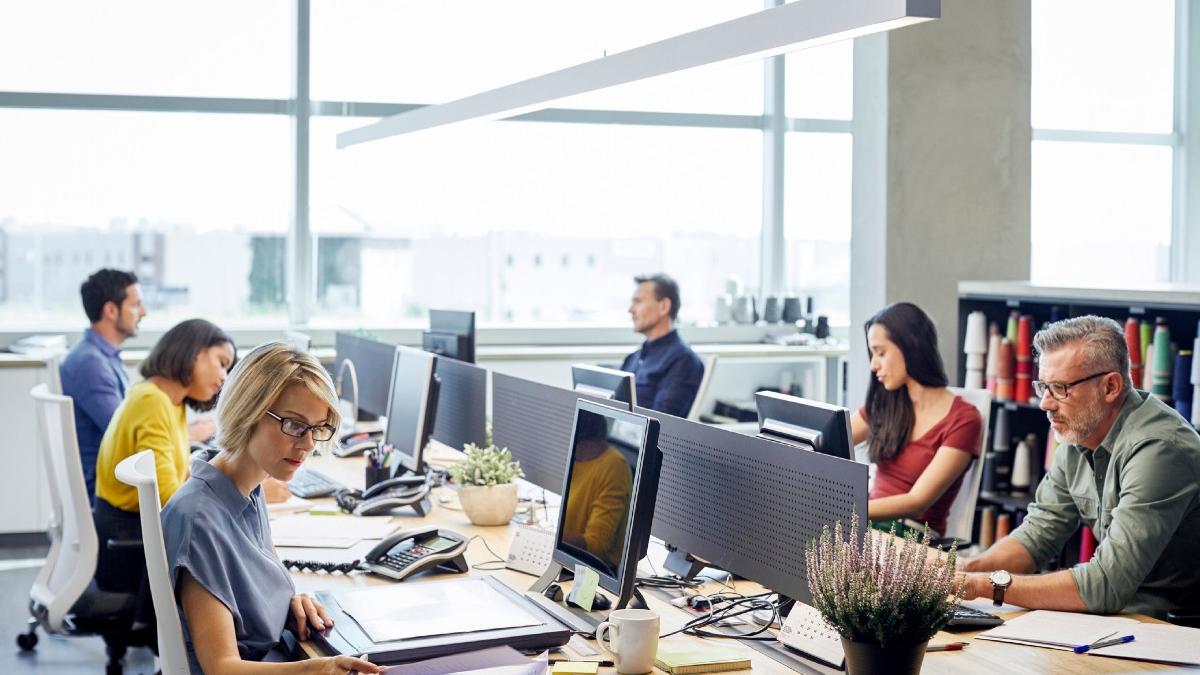 prime bonusuri angajare tineri romani bani guvern ministerul muncii