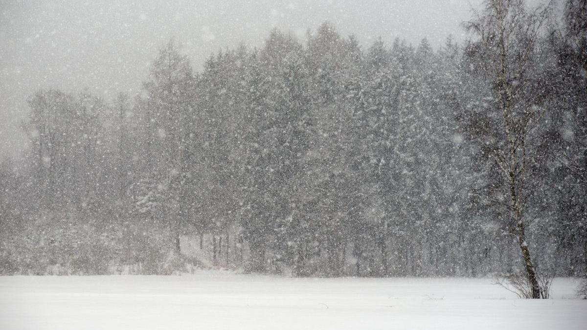 prognoza meteo 19 februarie 3 martie 2024 vremea