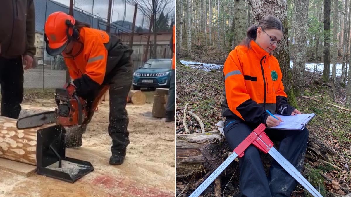 sase eleve campulung moldovenesc concurs international romania drujba