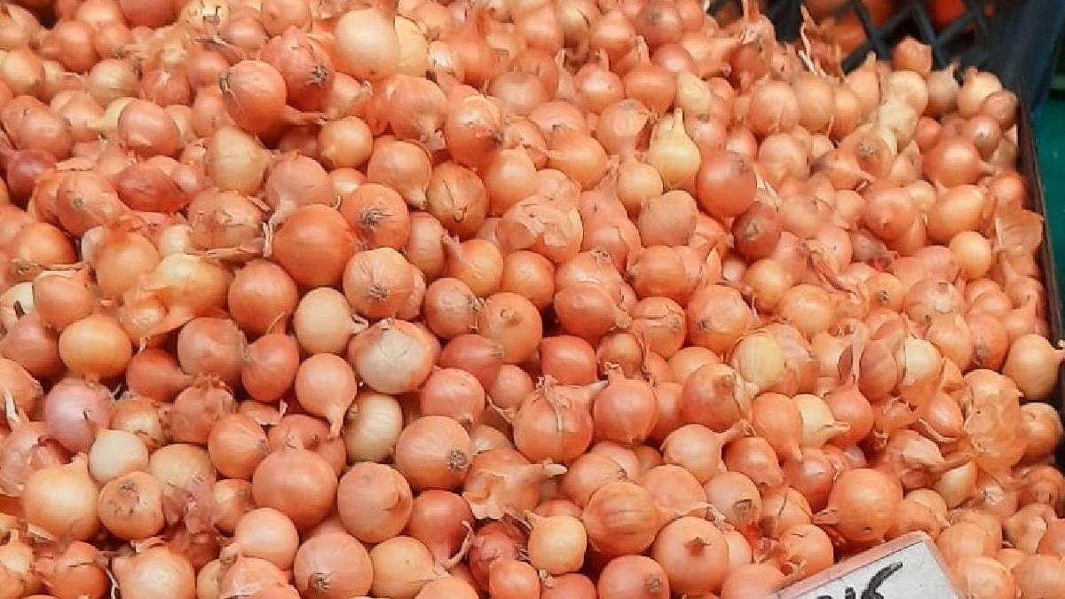 cat costa kilogram arpagic 2024 perioada plantare