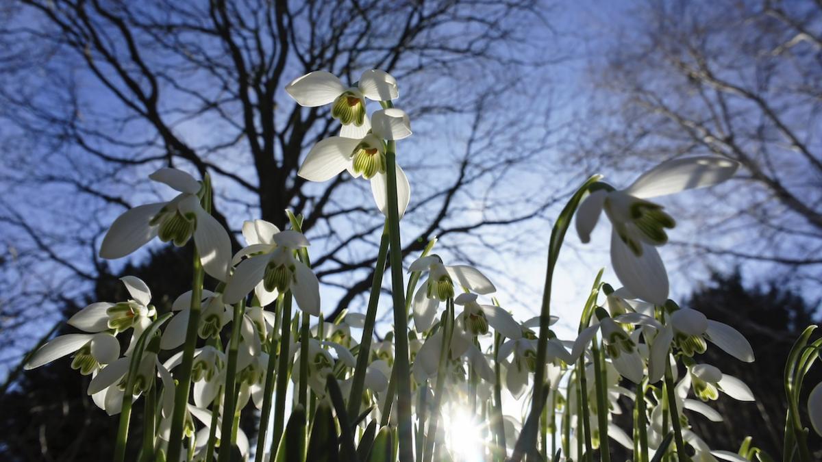 prognoza meteo anm 26 februarie 25 martie 2024 vremea