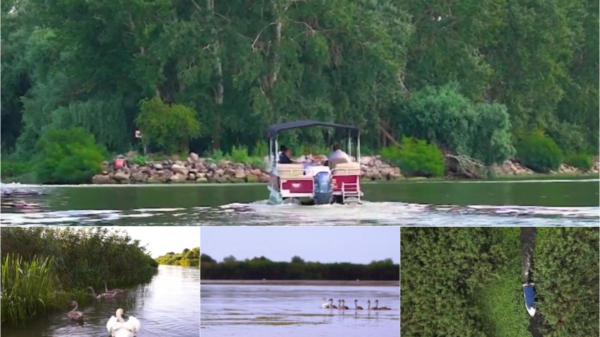 tursim delta dunarii excursii crisan letea pescuit