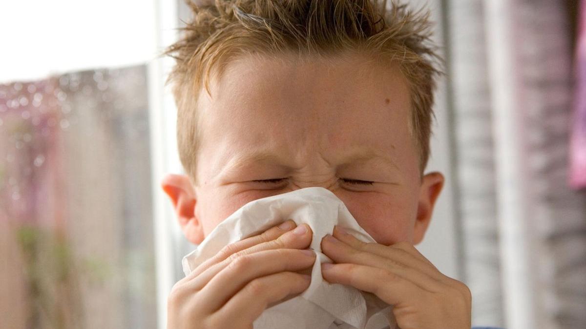 caldura temperaturi sezon alergii viroza