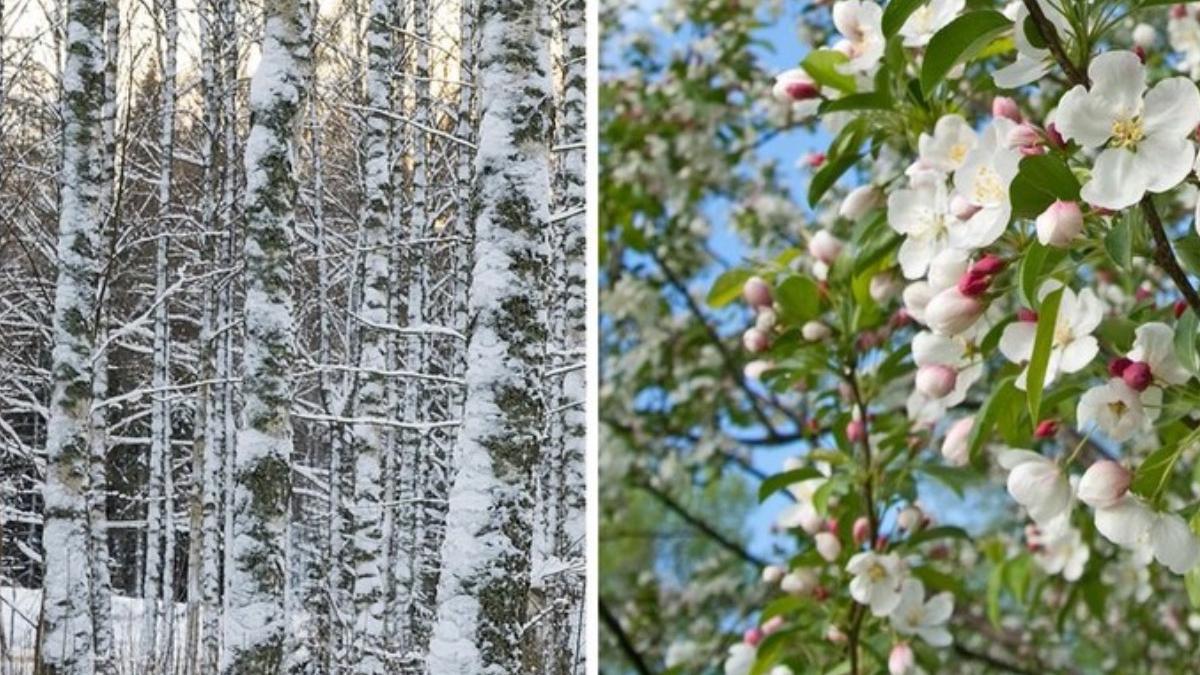 iarna se incheie vreme calda ploi prognoza meteo anm 26 februarie 10 martie
