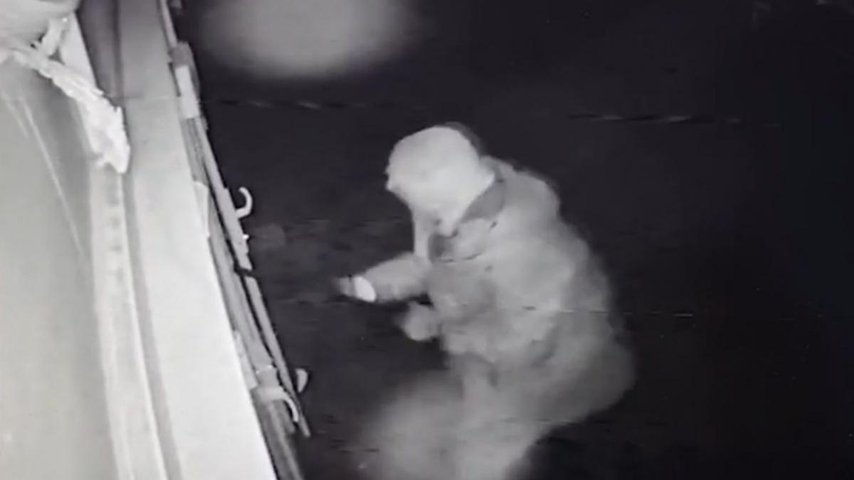 barbat prahova jefuit case pariuri cumparat porc plecat strainatate