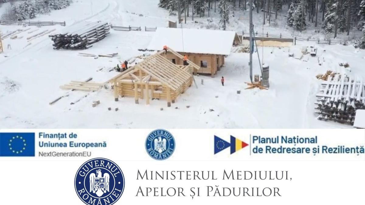 lemnul resursa regenerabila