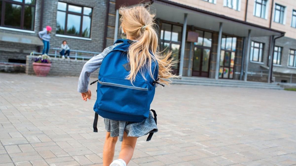 lista scoli program masa sanatoasa aprobata guvern