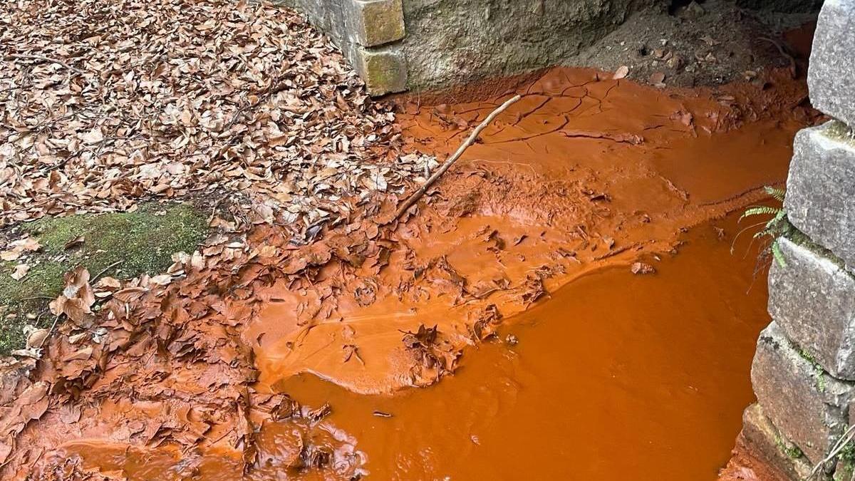 alerta in bihor ape rosii cutremur valea borod