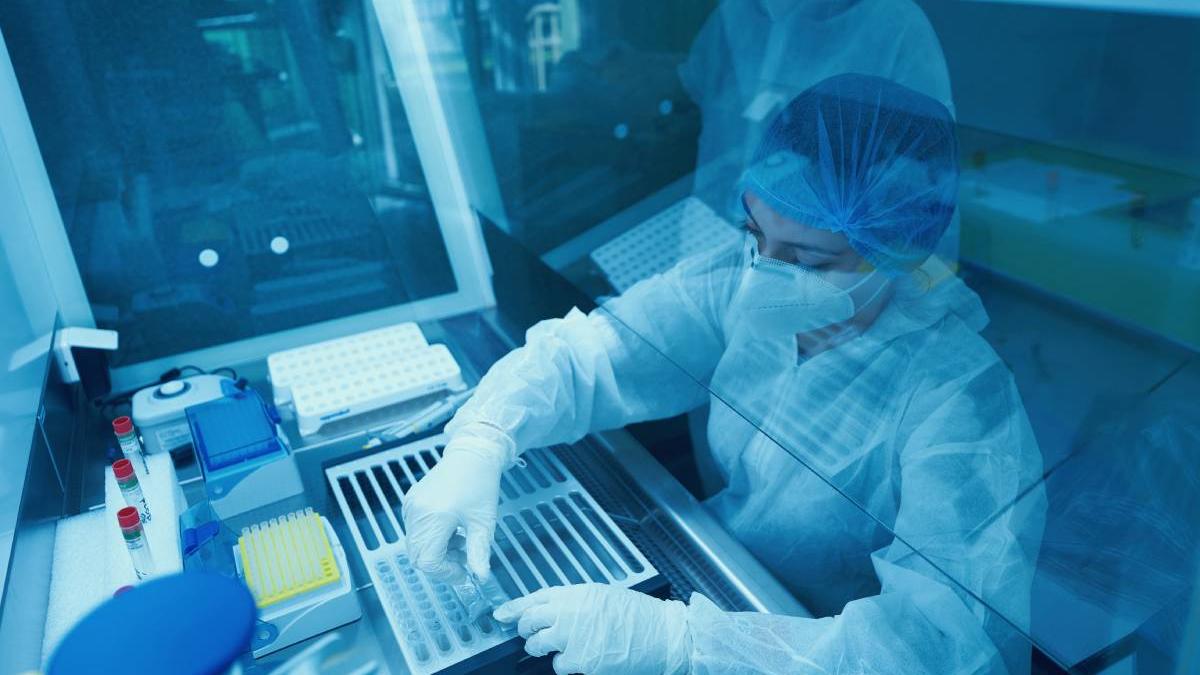 premiera romania extragere adn vegetal soi romanesc