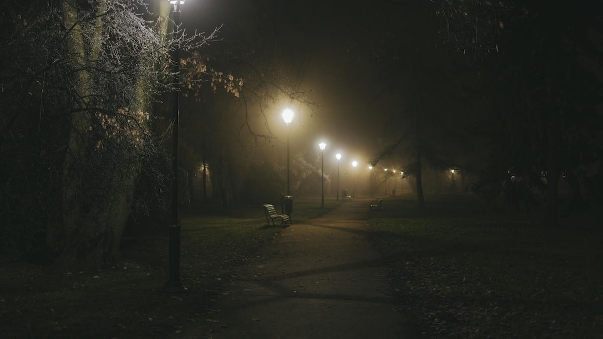 tanara imbracata pisica arad therian