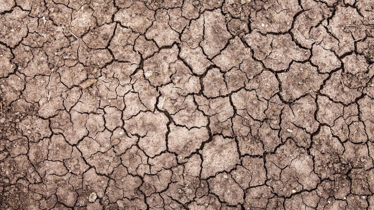 fenomentul el nino temperaturi prognoza agentia meteo onu