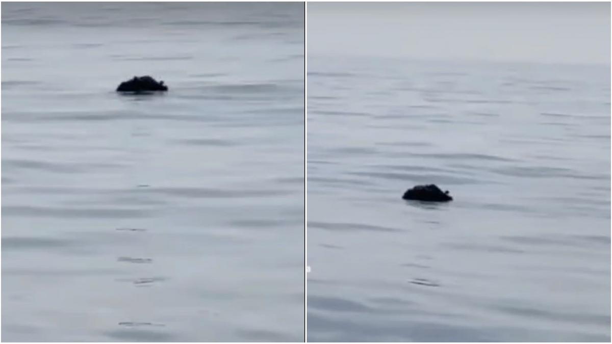 mina marina descoperita pescari marea neagra costinesti 4 kilometri tarm