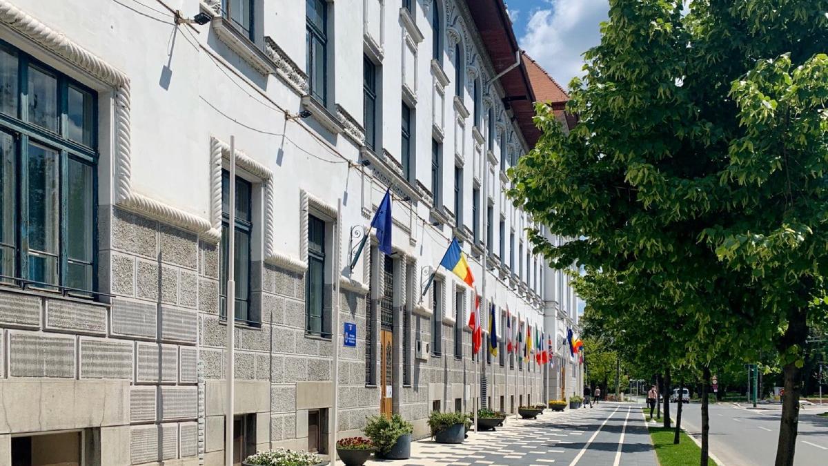 nereguli grave curtea de conturi primaria timisoara