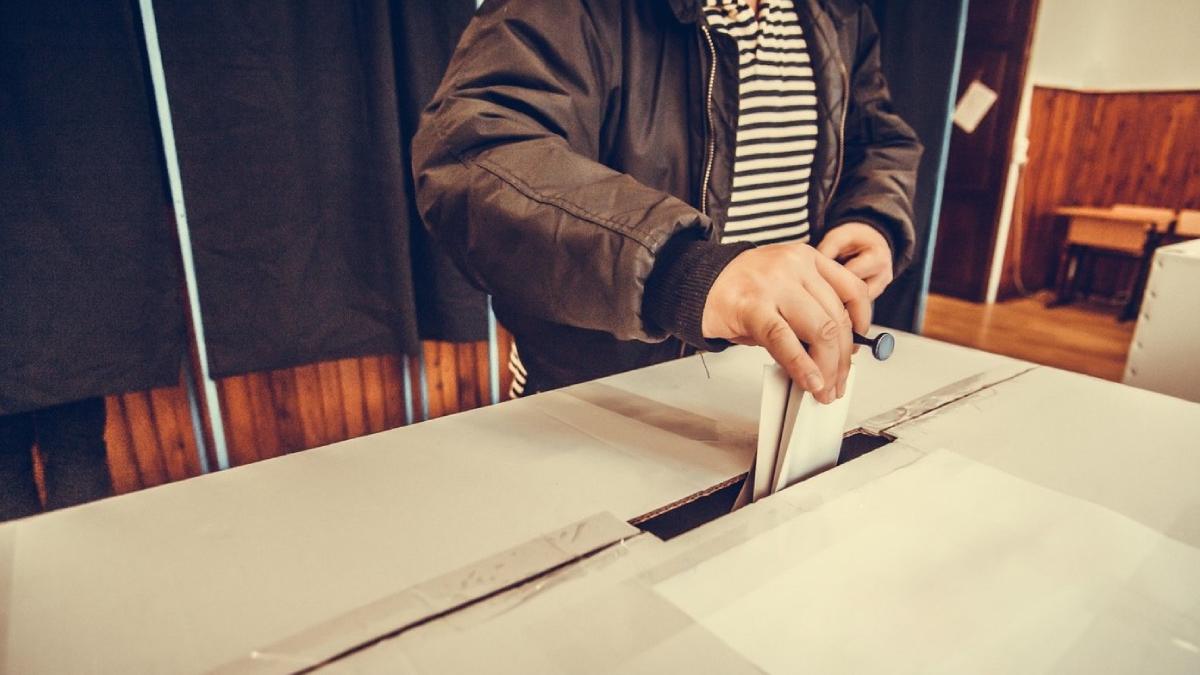 comasare alegeri locale europarlamentare adoptata guvern