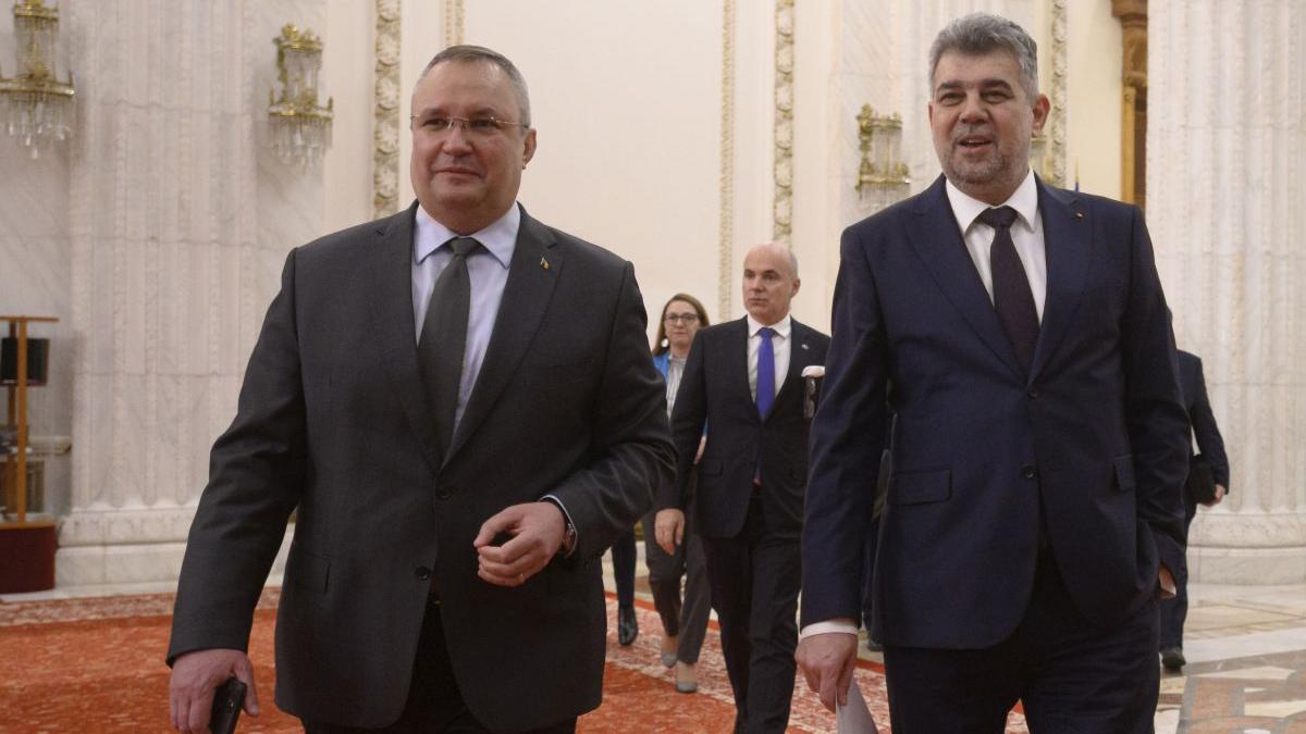 sondaje pnl psd candidati primaria capitalei