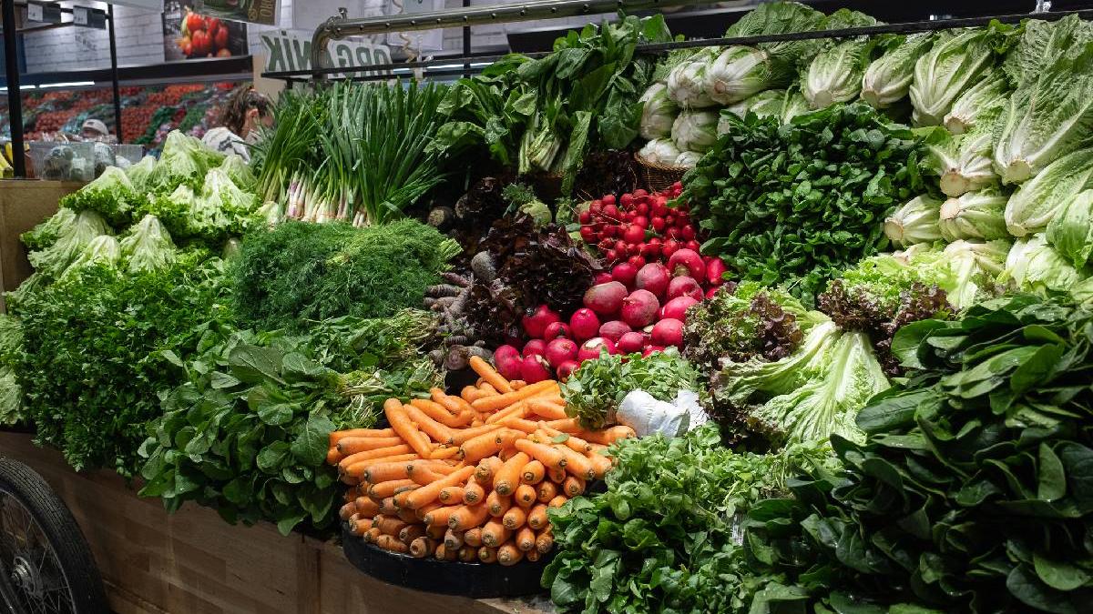 cel mai important aliment creier sanatos nutritionist harvard specialist neurostiinte