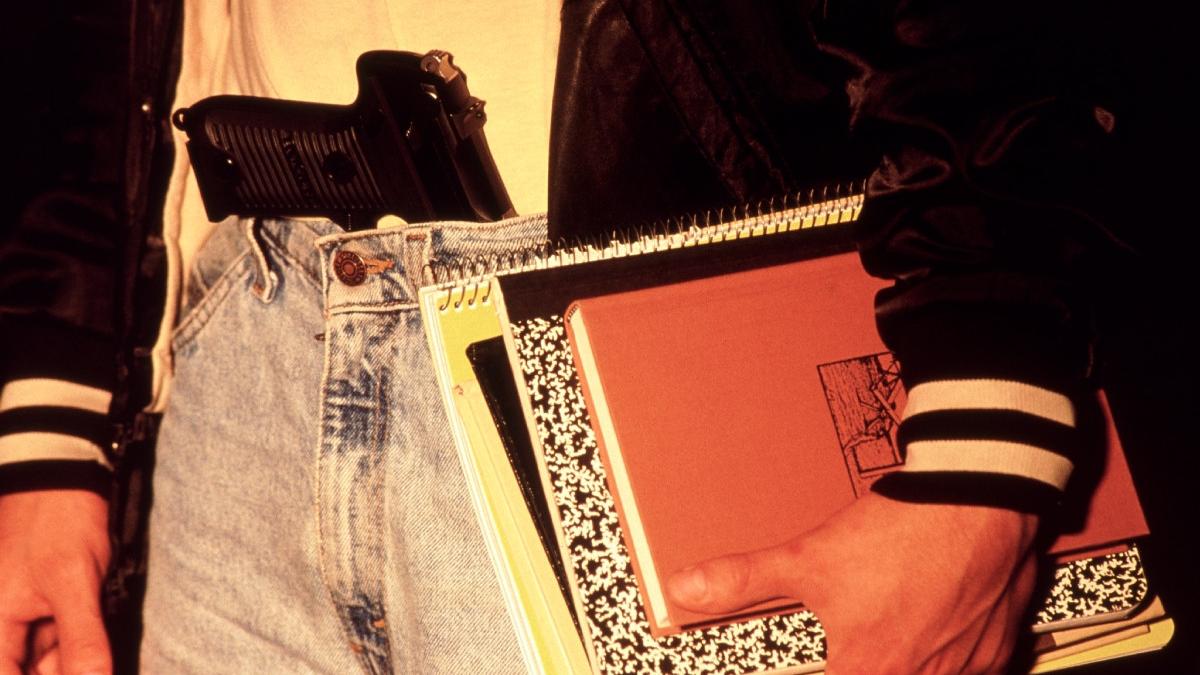 elev pistol banca scoala hunedoara razie politie