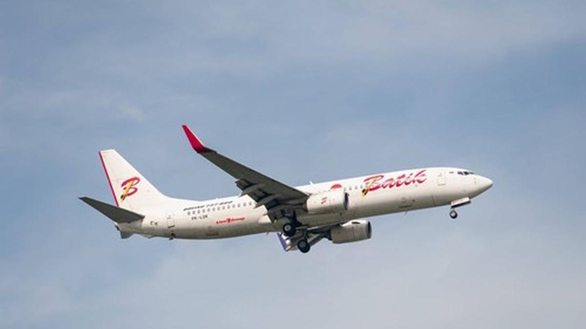 pedeapsa primita piloti adormit timpul zborului pericol vieti 150 oameni