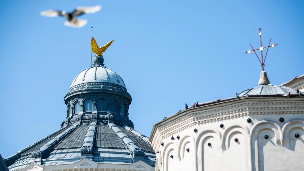 bor conditii candidatura preoti diaconi alegeri 2024