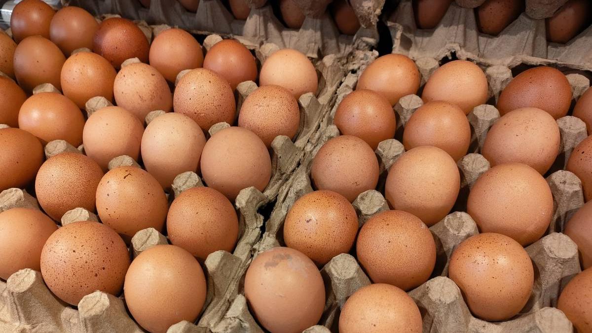 semnificatie cod oua magazine