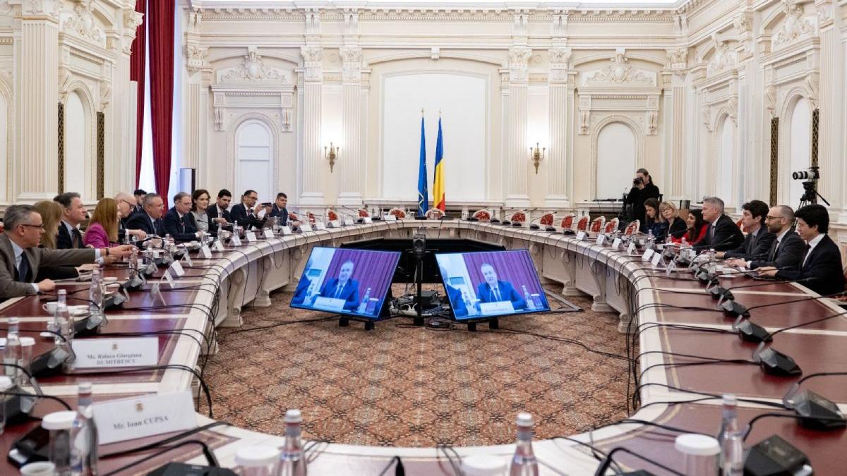 nicolae ciuca proiecte proces aderarea romaniei la ocde trecute parlament rapiditate